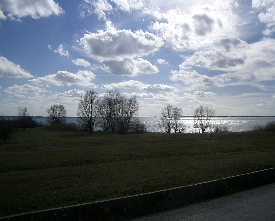 lac travers arbres